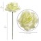 50-Pack: Cream White Rose Picks, 8&#x22; Stems, 3&#x22; Wide by Floral Home&#xAE;